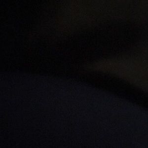 Meet your Posher, Rosie